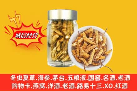 都兰县回收散虫草