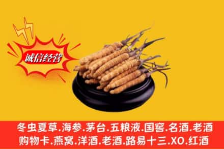 都兰县名酒回收冬虫夏草.jpg